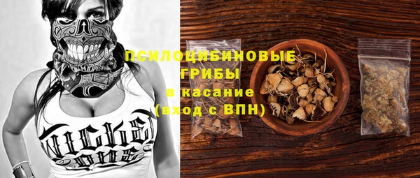 гашик Заволжье