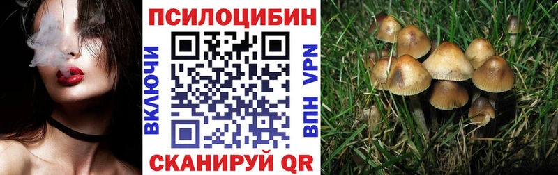 Галлюциногенные грибы мицелий продажа наркотиков Полярные Зори