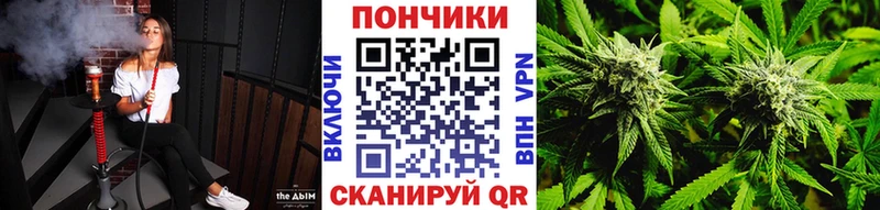 Шишки марихуана MAZAR  купить закладку  Полярные Зори 